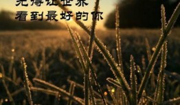 人生苦短及时吃瓜