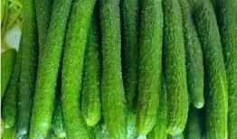 吃瓜浙江,探寻浙江美食文化的独特魅力