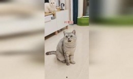 吃瓜太多跑厕所