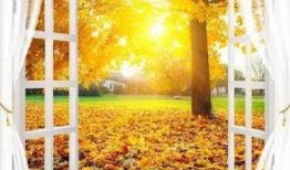 窗前明月吃瓜场