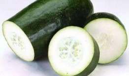 热天这样吃小瓜,小瓜美食攻略