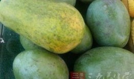 盘瓜怎么吃,解锁美味新体验