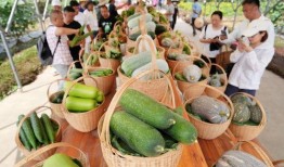 拉新吃瓜,揭秘网络社交圈的新兴现象