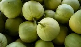 梦到吃不甜的瓜,揭秘不吃甜瓜的梦境寓意