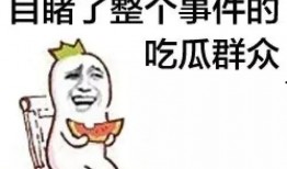 过分想你 吃瓜,一场关于过分想念的甜蜜冒险
