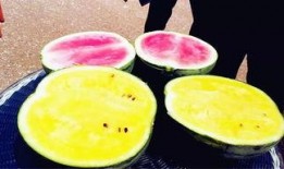 爆料吃瓜必吃大瓜图片高清,高清图片曝光，真相令人震惊！