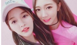 吃瓜少女微加分,揭秘娱乐圈幕后故事