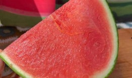 主公吃瓜,揭秘宫廷秘闻