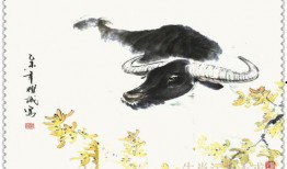 沉迷吃瓜生肖,揭秘那些沉迷吃瓜的生肖特点