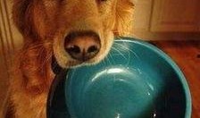 梦到老公给我瓜吃