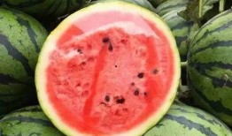 吃瓜还可以叫啥