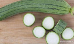 尿酸高白瓜可以吃吗吗