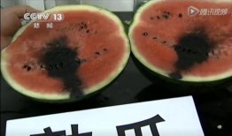 青海的吃瓜视频,品味高原瓜果的甜蜜滋味