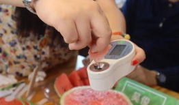 吃瓜直播大白,大白带你领略网红直播的魅力