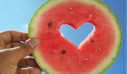 带你吃瓜搞笑昆虫,带你领略搞笑昆虫的奇妙世界