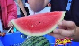 盛夏吃瓜风,盛夏吃瓜风潮全解析