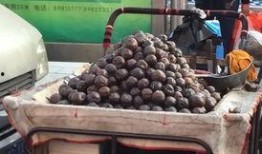 庄河彩礼吃瓜,揭秘婚嫁市场的“甜蜜负担”