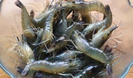 吃瓜吃虾的季节叫什么,尽享夏日美味时光