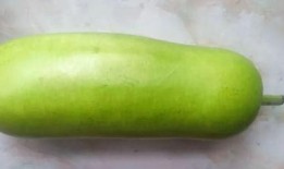 秋后吃哪些瓜最好