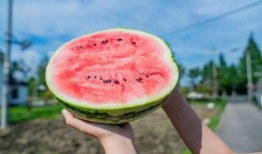 拉新吃瓜,揭秘网络社交圈的新兴现象