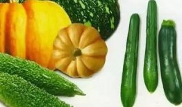 窝7瓜怎么吃,解锁美味新境界