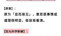吃瓜吃的很震撼的成语,震撼食客的成语盛宴