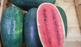 山东近期吃瓜新闻事件,近期热点事件盘点