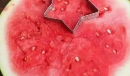 吃瓜吐籽特效,籽去无踪——揭秘神奇“吃瓜吐籽”特效