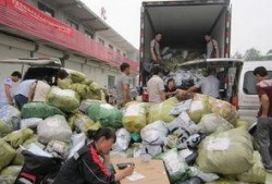 曹县大集吃瓜事件始末,一场网络热议的美食狂欢始末