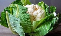 菜花吃瓜,一场味蕾的盛宴