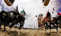 赛马吃瓜,一场别开生面的趣味赛事