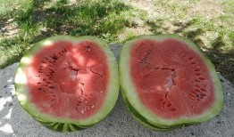 梦见买瓜分瓜吃,瓜分梦境中的甜蜜滋味