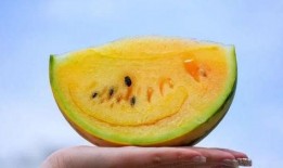 吃瓜都是黄的吗,吃瓜不一定是黄的，揭秘瓜类多样色彩之谜