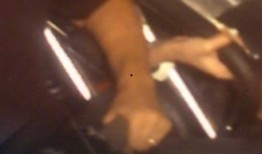 恐怖的吃瓜男孩,揭秘恐怖吃瓜男孩的惊悚真相