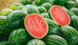 信誉楼视频吃瓜,揭秘网红食品背后的真相