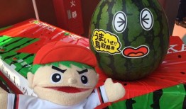 海外吃瓜事情,揭秘那些令人咋舌的吃瓜事件