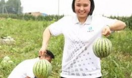 阳光依旧吃瓜群众,吃瓜群众见证时代变迁